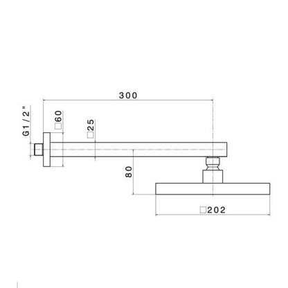 Newform Showerhead and Wall Arm; Polished Chrome