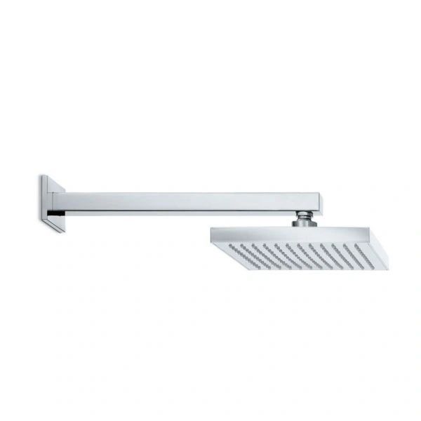 Newform Showerhead and Wall Arm; Polished Chrome